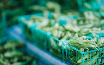 The Right Way to Wash Fruits and Vegetables: A Simple Guide for Safer Eating